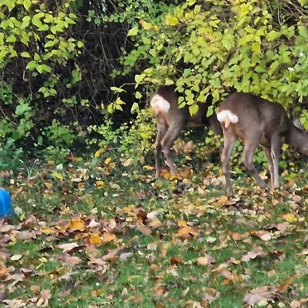 Vakantiehuis Sl353-slagelse-dompapvej-3 *